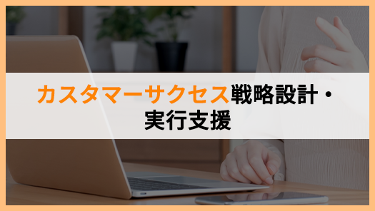 カスタマーサクセス戦略設計・実行支援