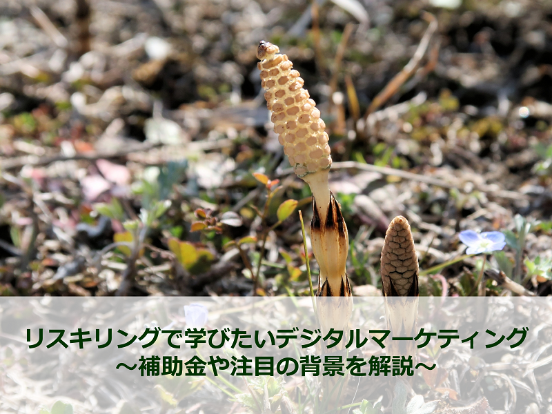 リスキリングで学びたいデジタルマーケティング～補助金や注目の背景を解説～