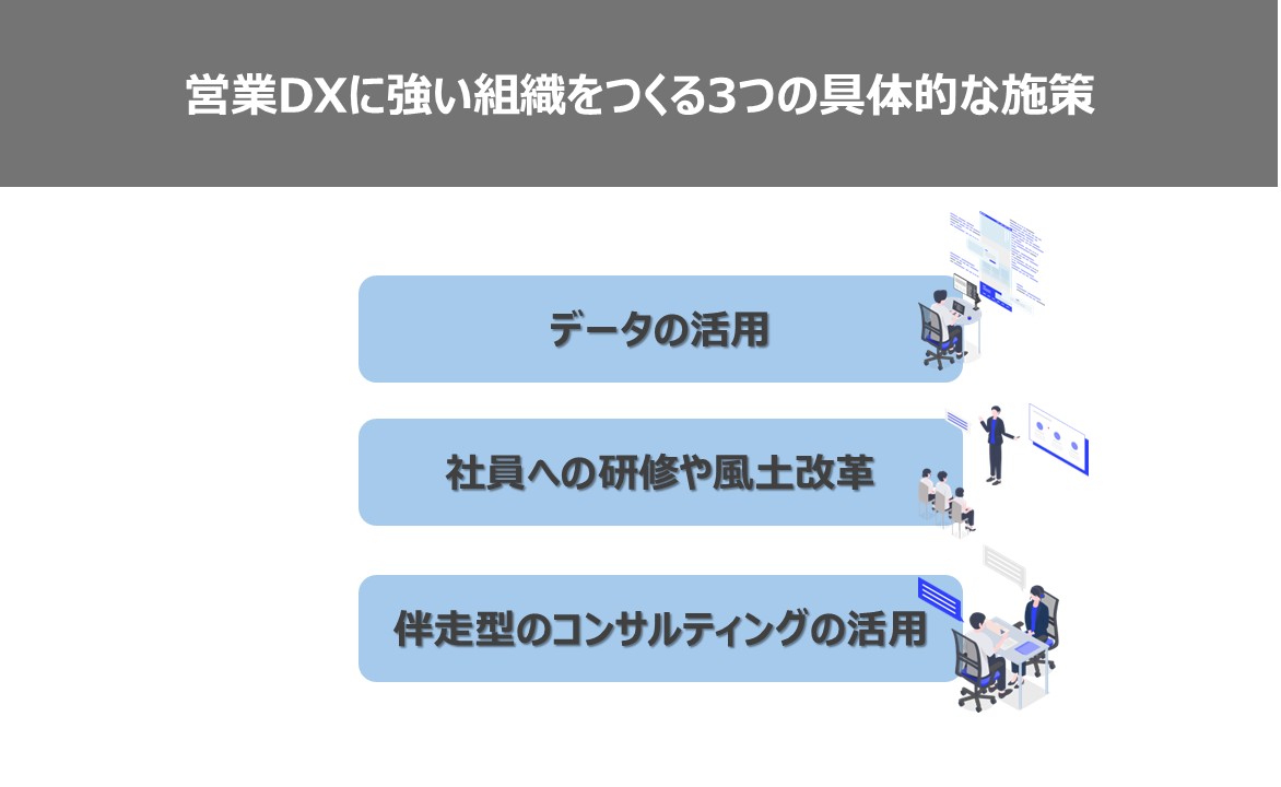 /img/sample/dummy.jpg