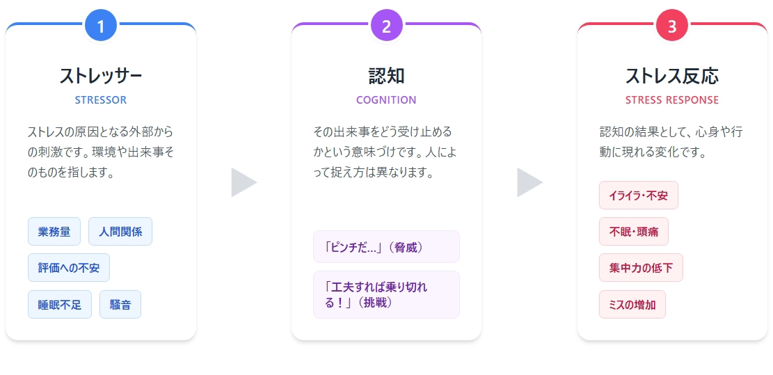 フロー図：ストレスの仕組みは3ステップ。①ストレッサー（ストレスの原因となる外部からの刺激。環境や出来事そのもの：業務量・人間関係・評価への不安・睡眠不足・騒音）→②認知（出来事をどう受け止め意味づけるか。例：「ピンチだ…」（脅威）／「工夫すれば乗り切れる！」（挑戦））→③ストレス反応（認知の結果として心身や行動に現れる変化：イライラ・不安、不眠・頭痛、集中力の低下、ミスの増加）