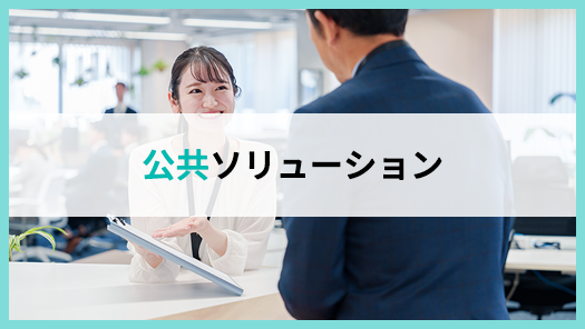 公共ソリューション