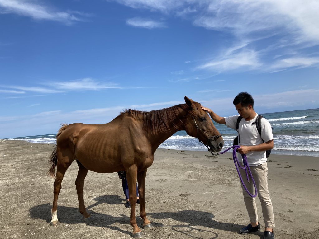andoffice_noto_pro_horse.jpg
