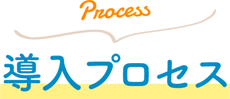 Process 導入プロセス