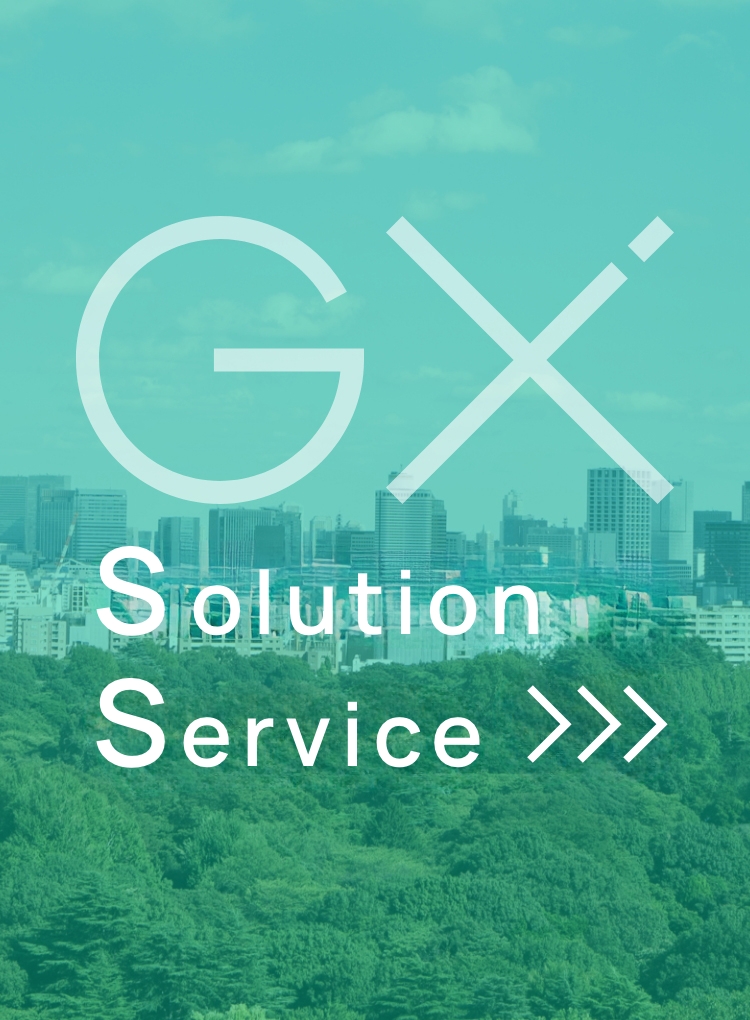 GX Solution Service